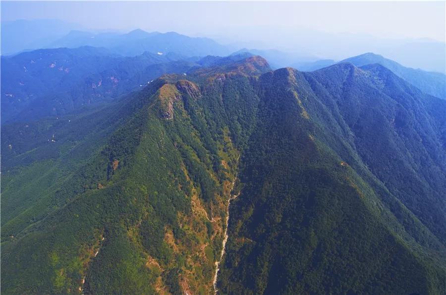 云浮：嚴(yán)防森林火災(zāi) 堅決守護綠水青山